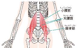 腸腰筋とは？