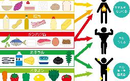 内臓も疲れてますよ！